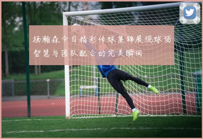 杨瀚森今日精彩传球集锦展现球场智慧与团队配合的完美瞬间